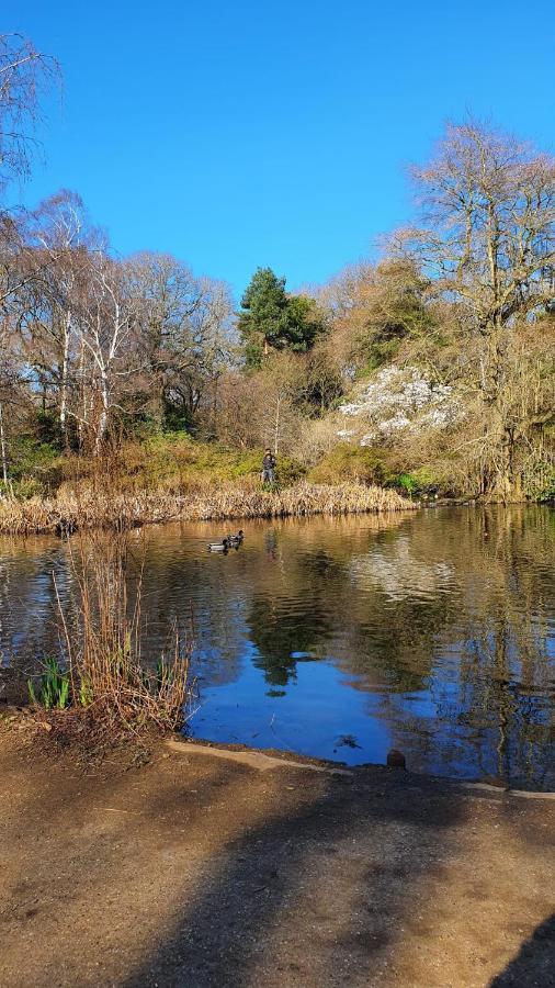 Kew Gardens - Private Double Room Richmond London - Homestay エクステリア 写真