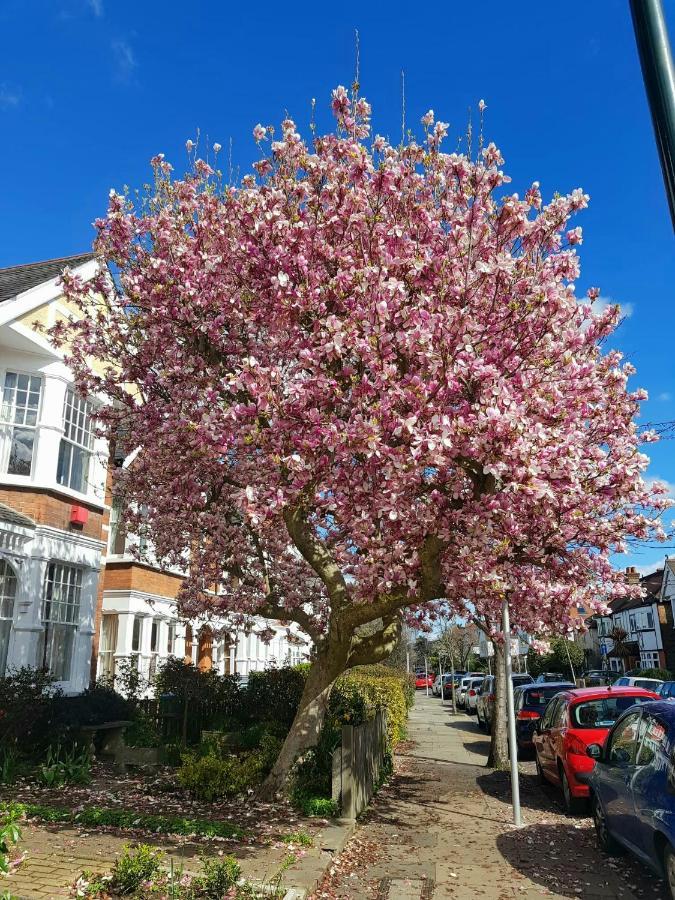 Kew Gardens - Private Double Room Richmond London - Homestay エクステリア 写真